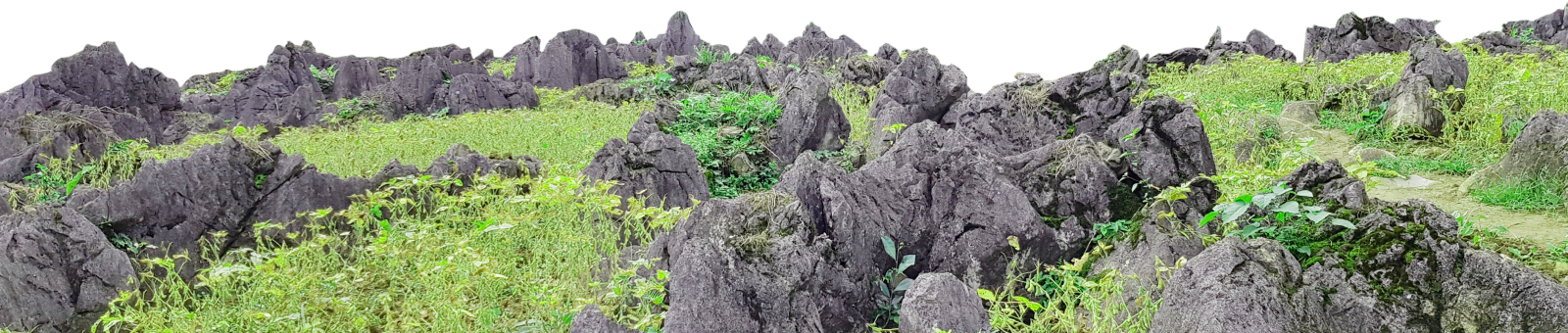 nui-down-rock