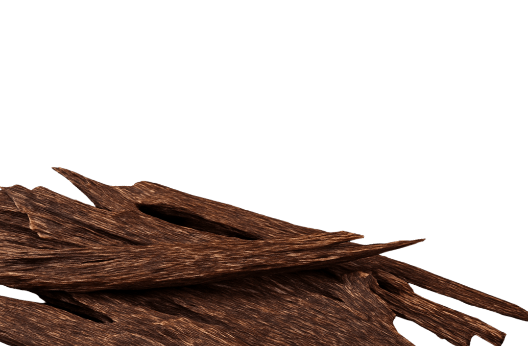 wood-process-mb