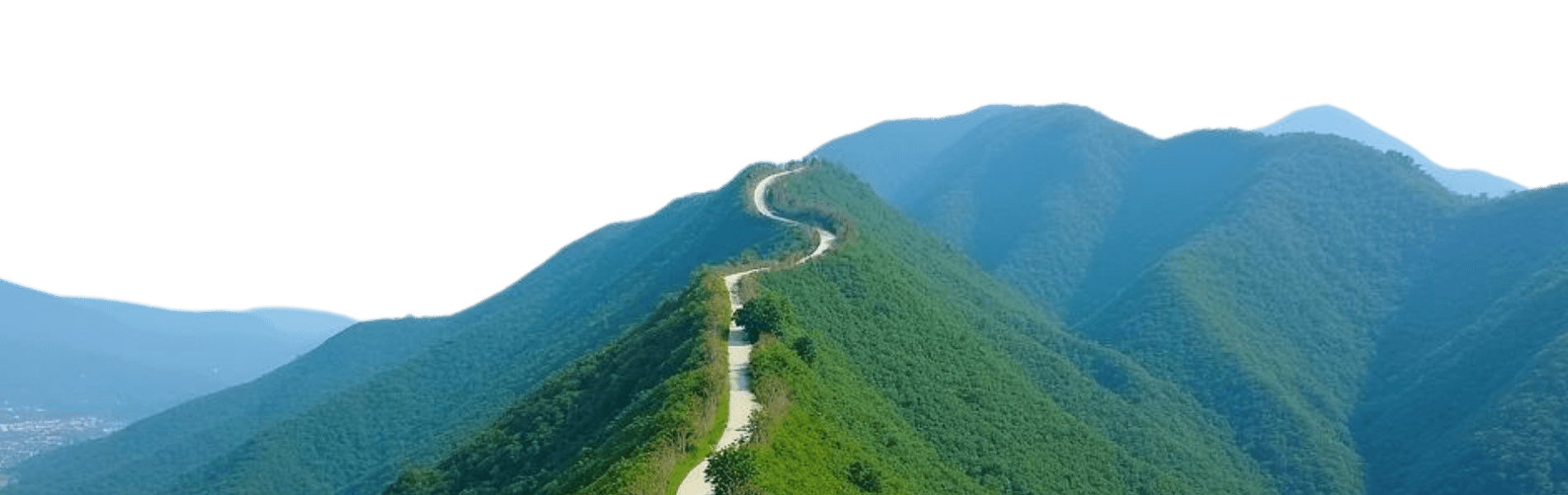 Đồi đằng sau